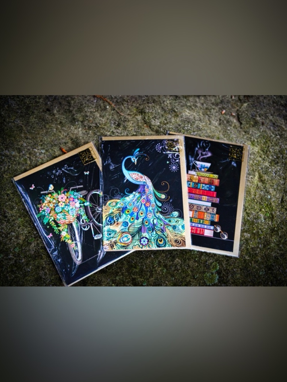 Rare Bug Art UK Blank Greeting Cards - Pack of 3 - Discontinued US Shipping